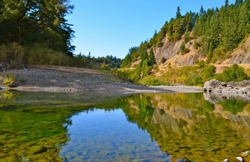 Smithe Redwoods State Natural Reserve, California, USA